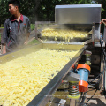 Automatische gefrorene Frites -Pommesautomaten